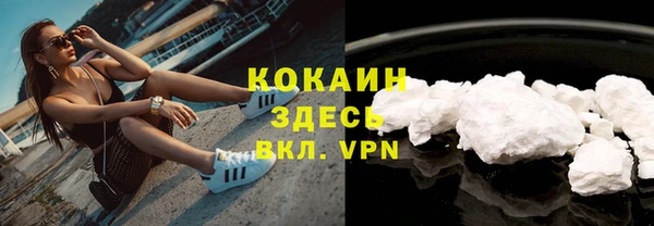 прущая мука Няндома