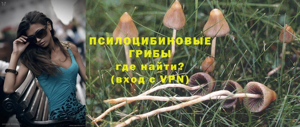 прущая мука Няндома