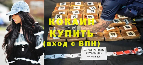 твердый Осинники