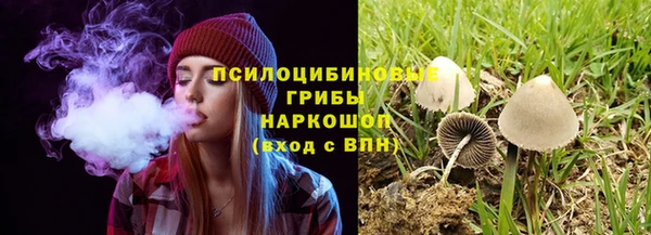прущая мука Няндома