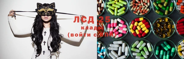 apvp Осташков